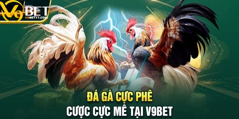 Đá gà là môn giải trí dân gian phổ biến được nhiều người yêu thích tại V9BET